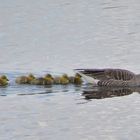 Familienausflug