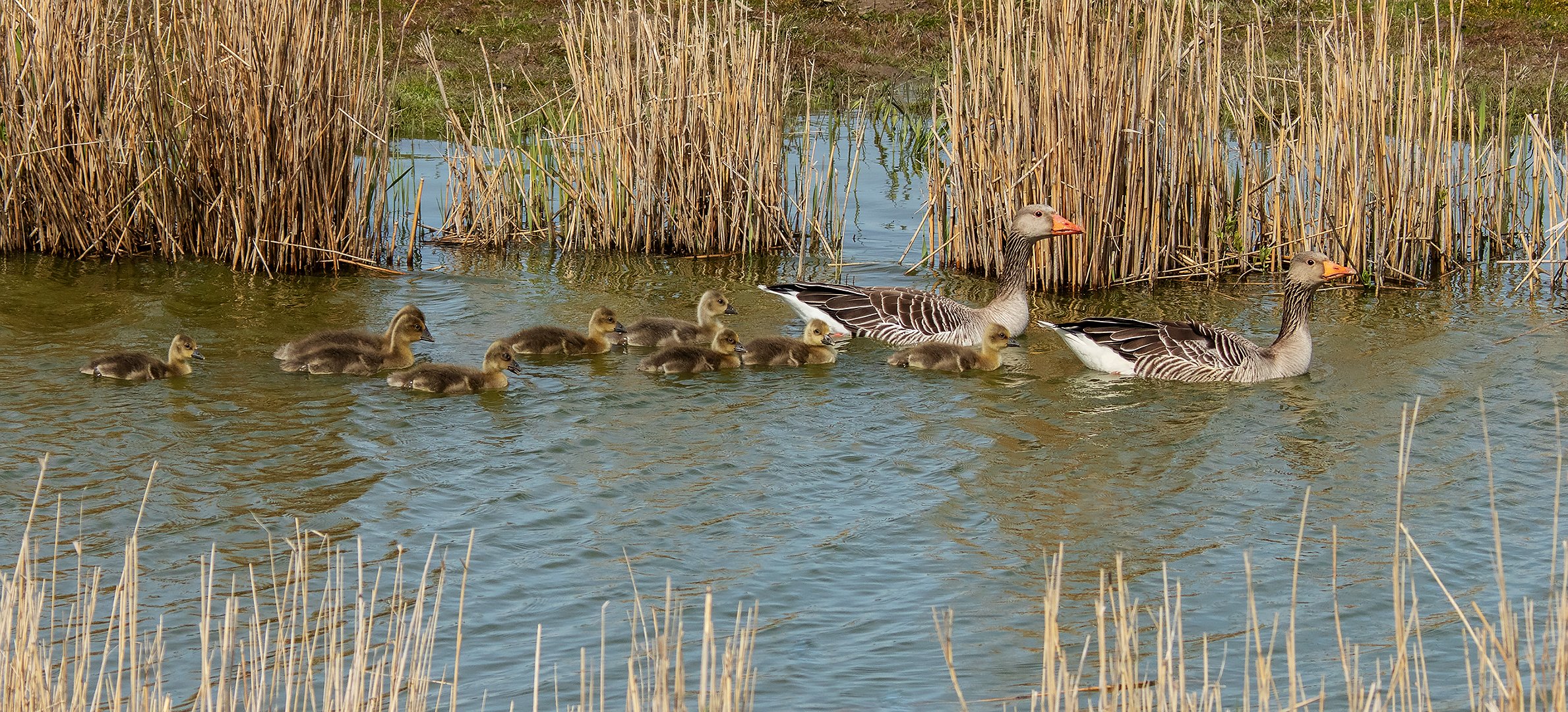 Familienausflug