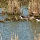 Familienausflug