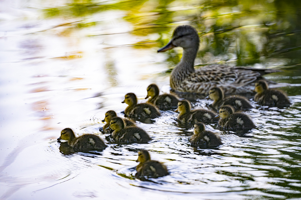 Familienausflug