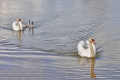 Familienausflug