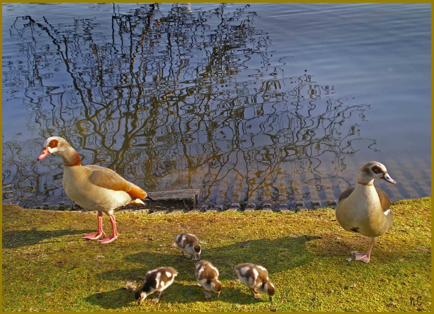 Familienausflug