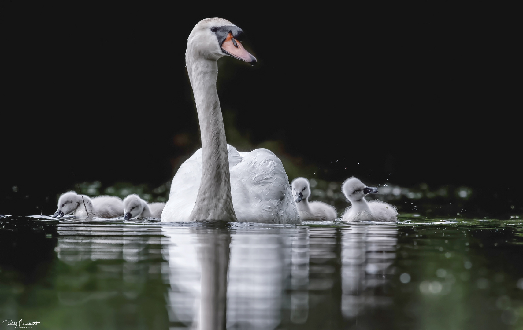 Familienausflug...