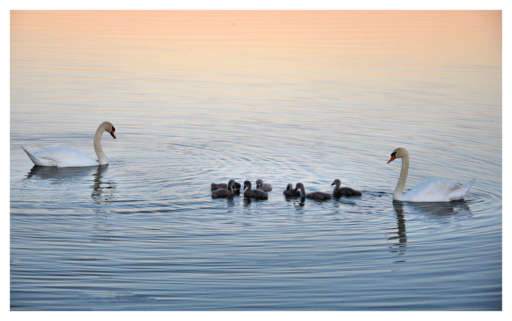 Familienausflug