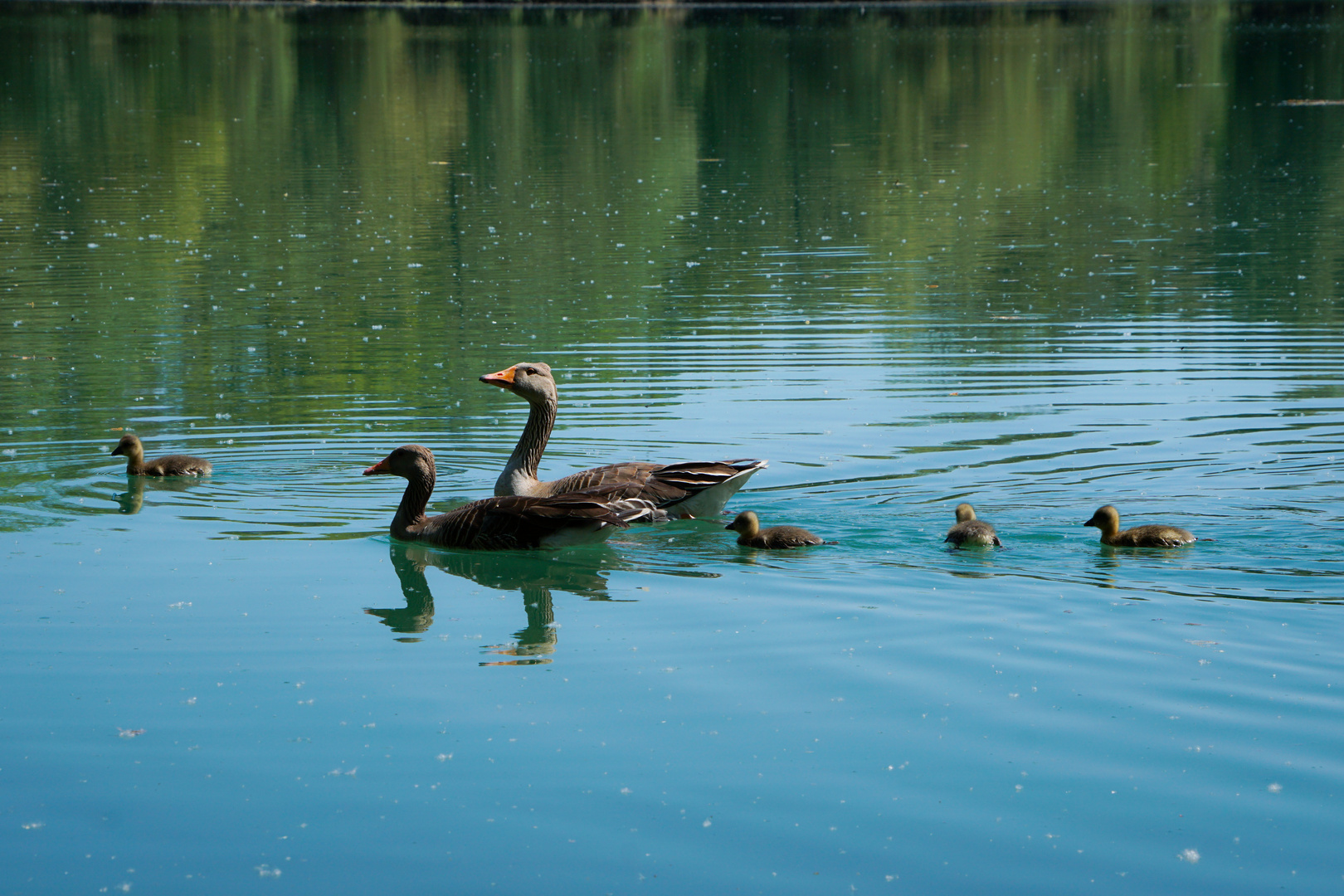 Familienausflug