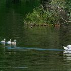 Familienausflug