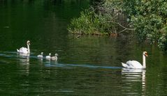 Familienausflug