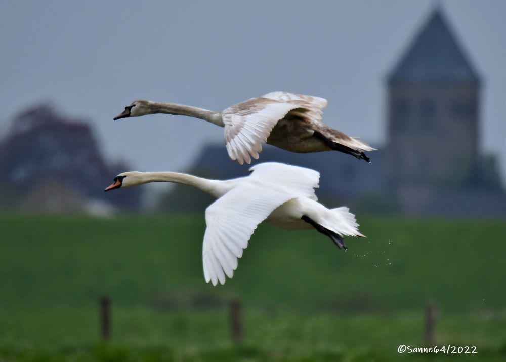 Familienausflug