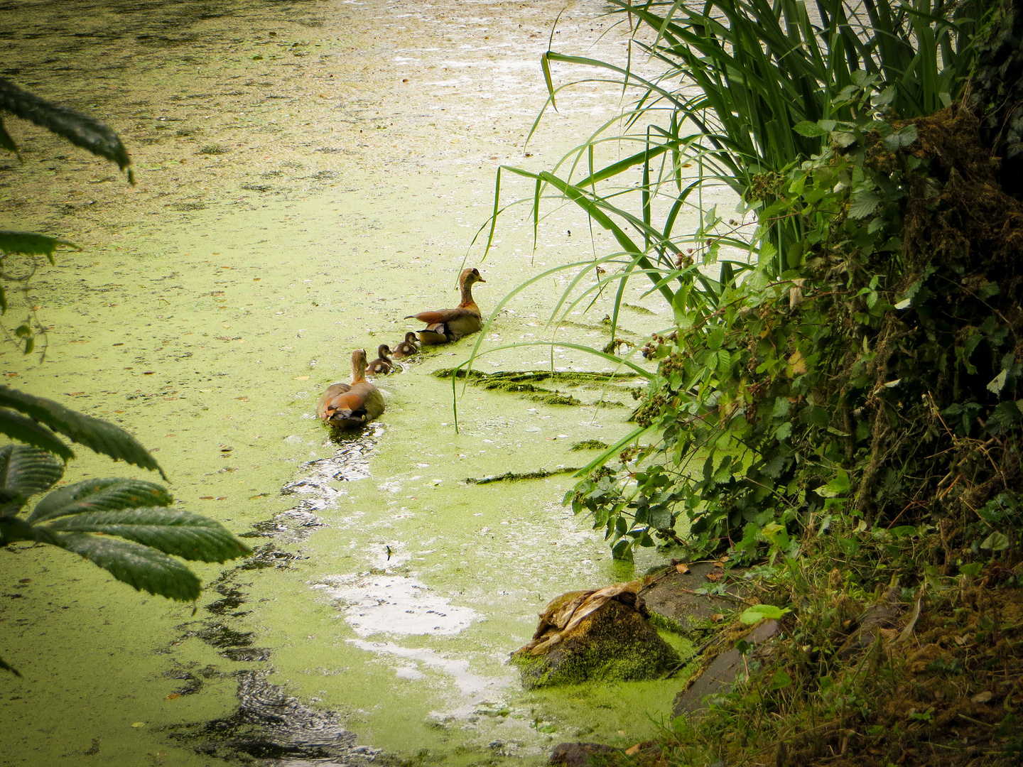 Familienausflug