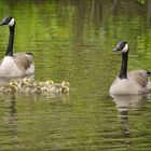 Familienausflug