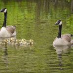 Familienausflug