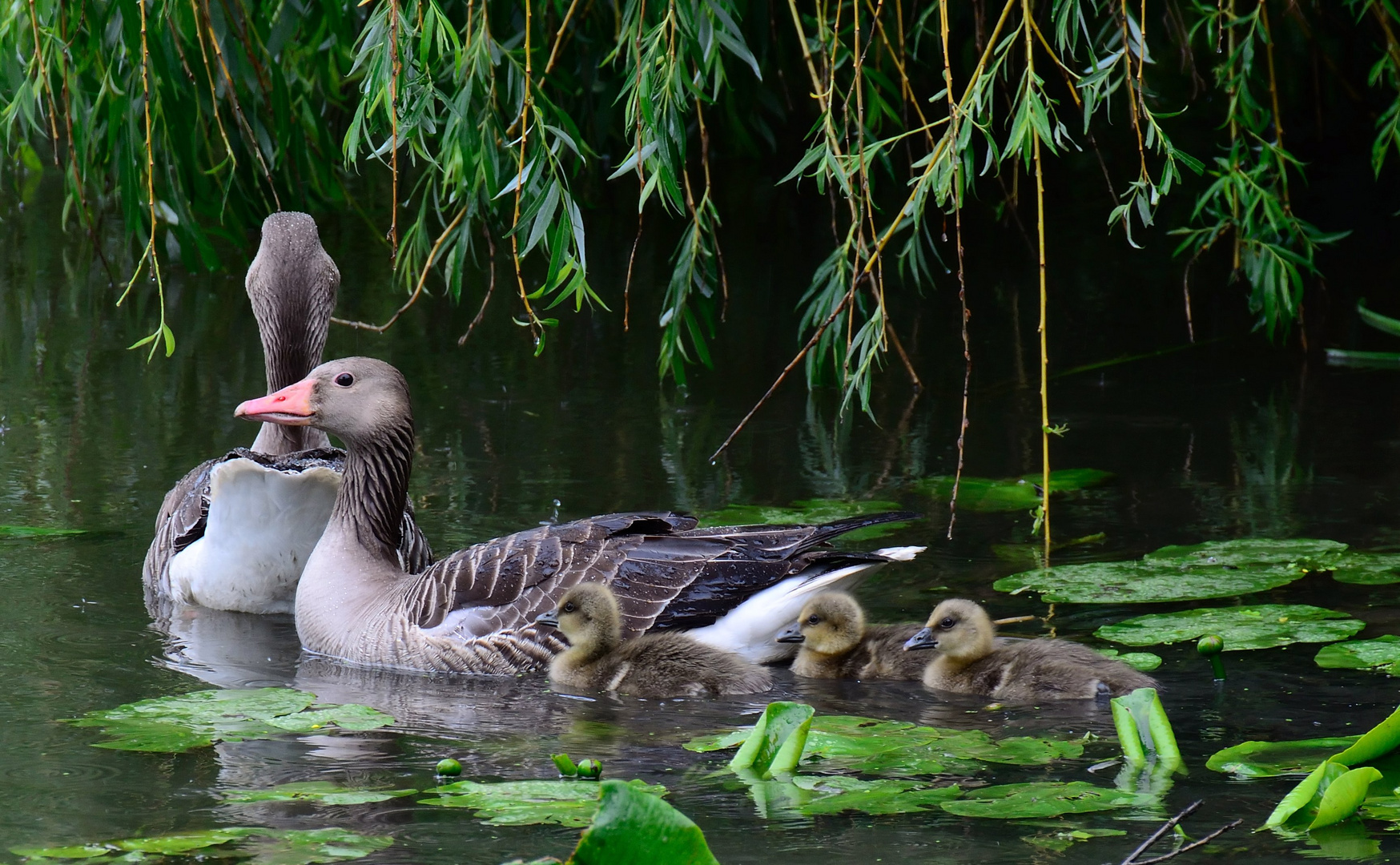 Familienausflug...