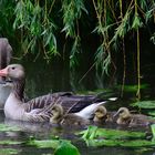 Familienausflug...