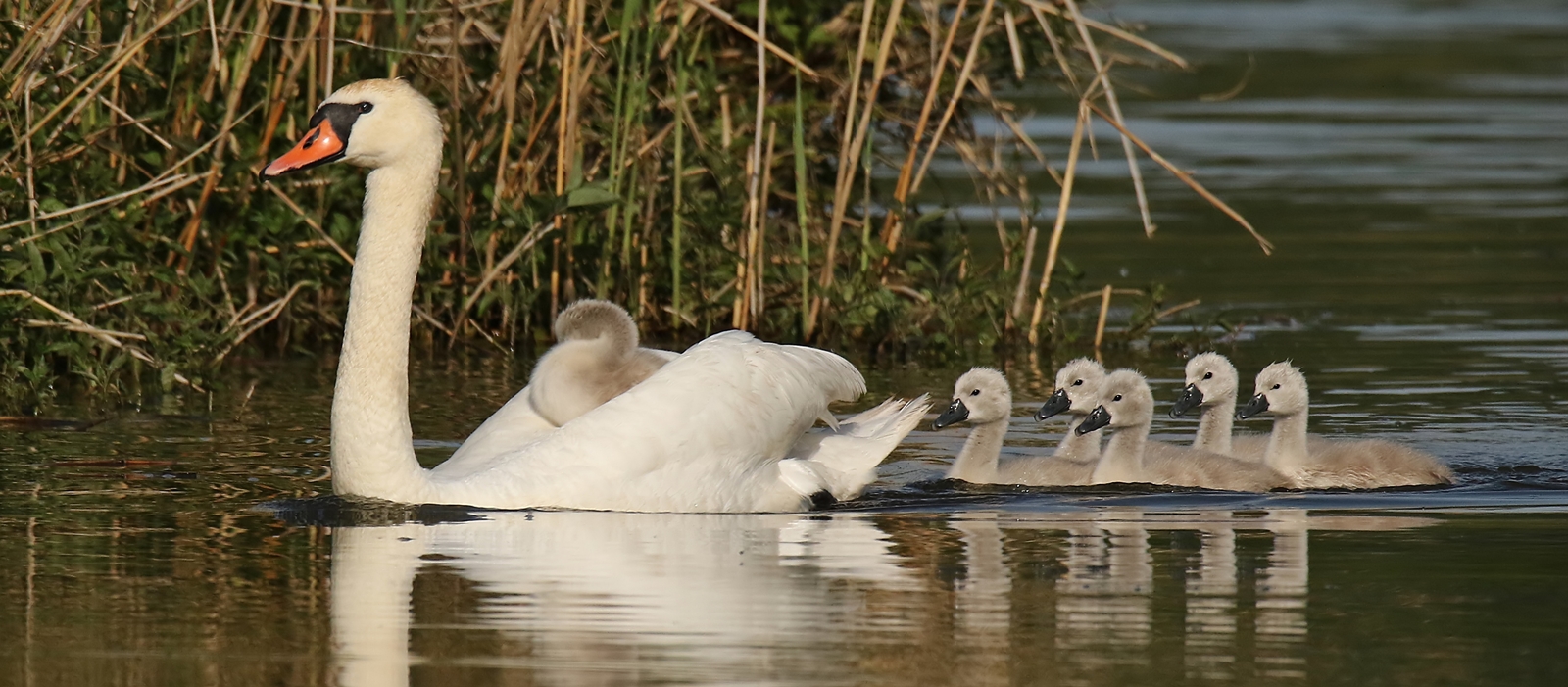 Familienausflug 