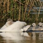 Familienausflug 