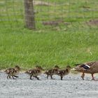 Familienausflug