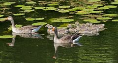  Familienausflug