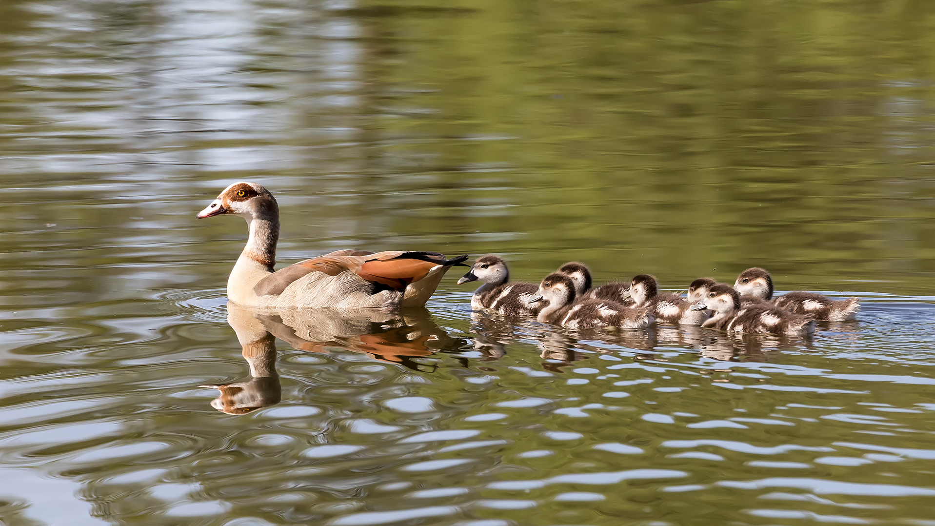 Familienausflug