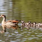 Familienausflug