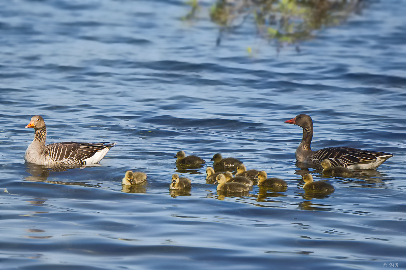 Familienausflug