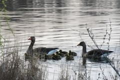 Familienausflug