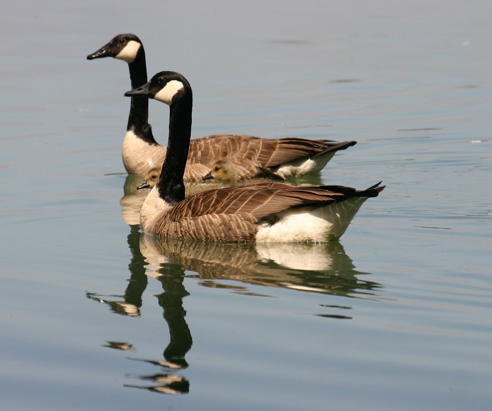 Familienausflug