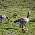 Familienausflug