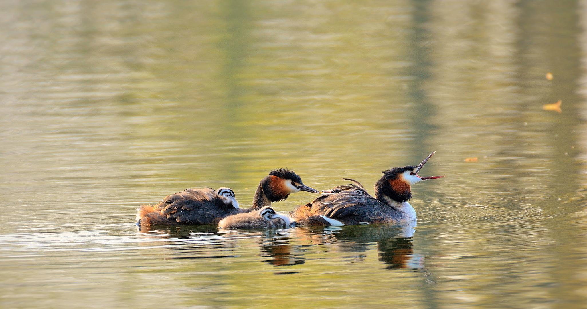 Familienausflug