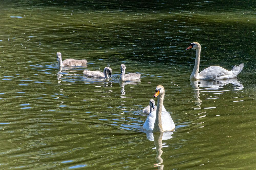 Familienausflug