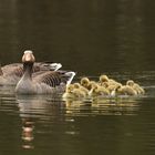 Familienausflug