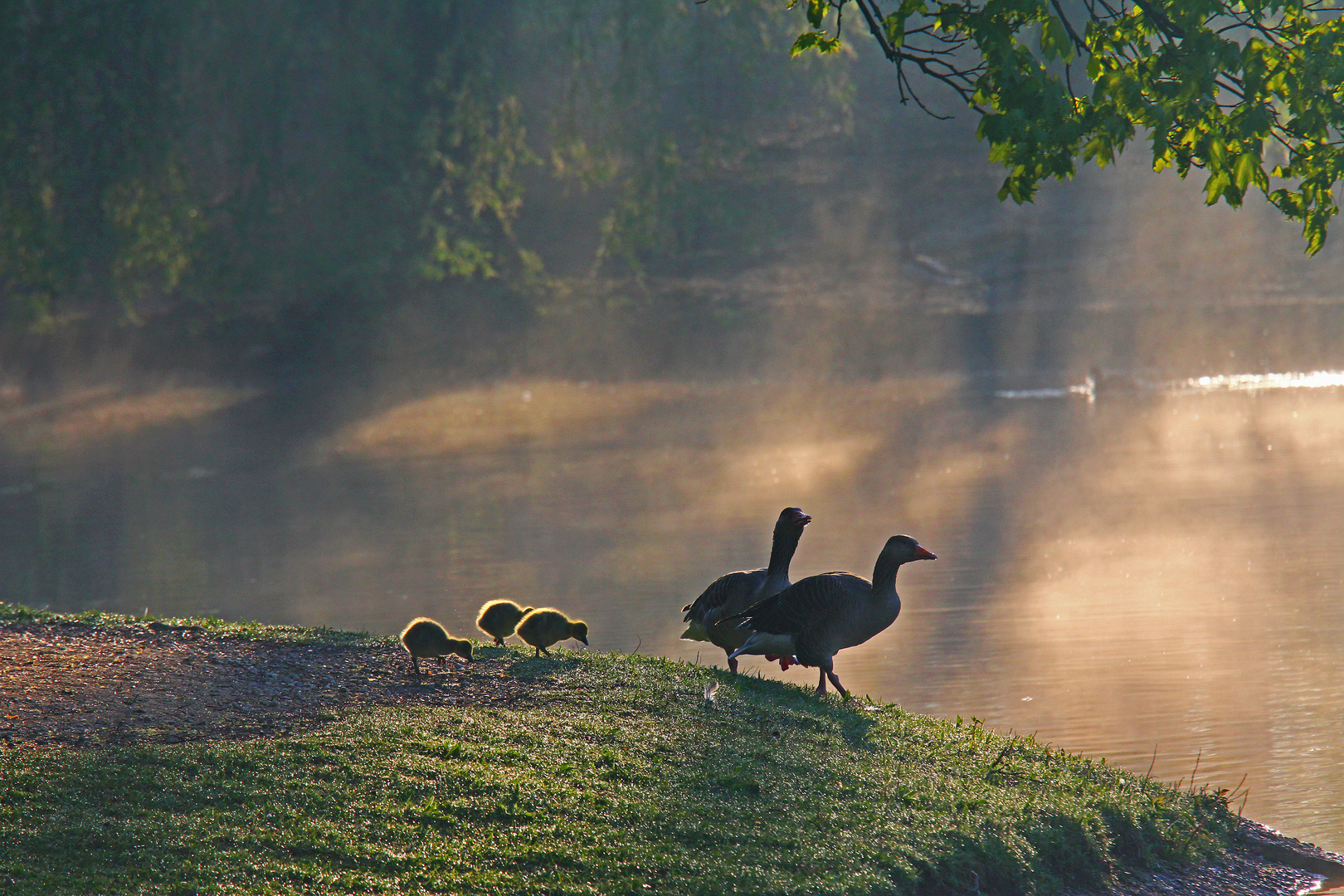 Familienausflug