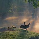 Familienausflug