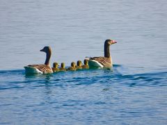 Familienausflug