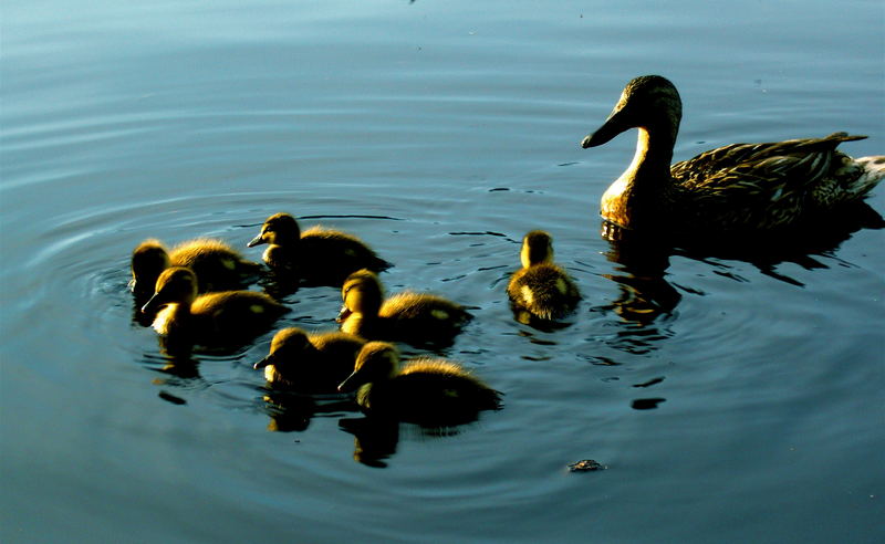 Familienausflug