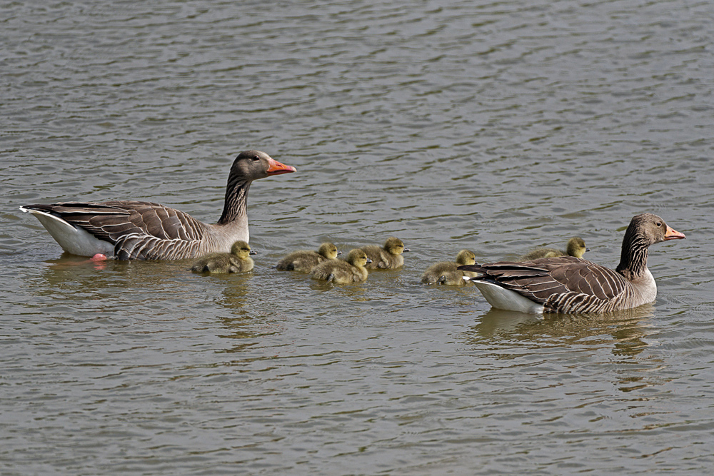 Familienausflug