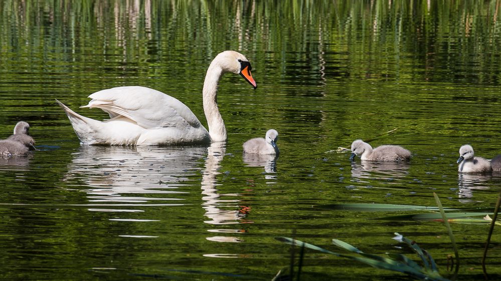 Familienausflug