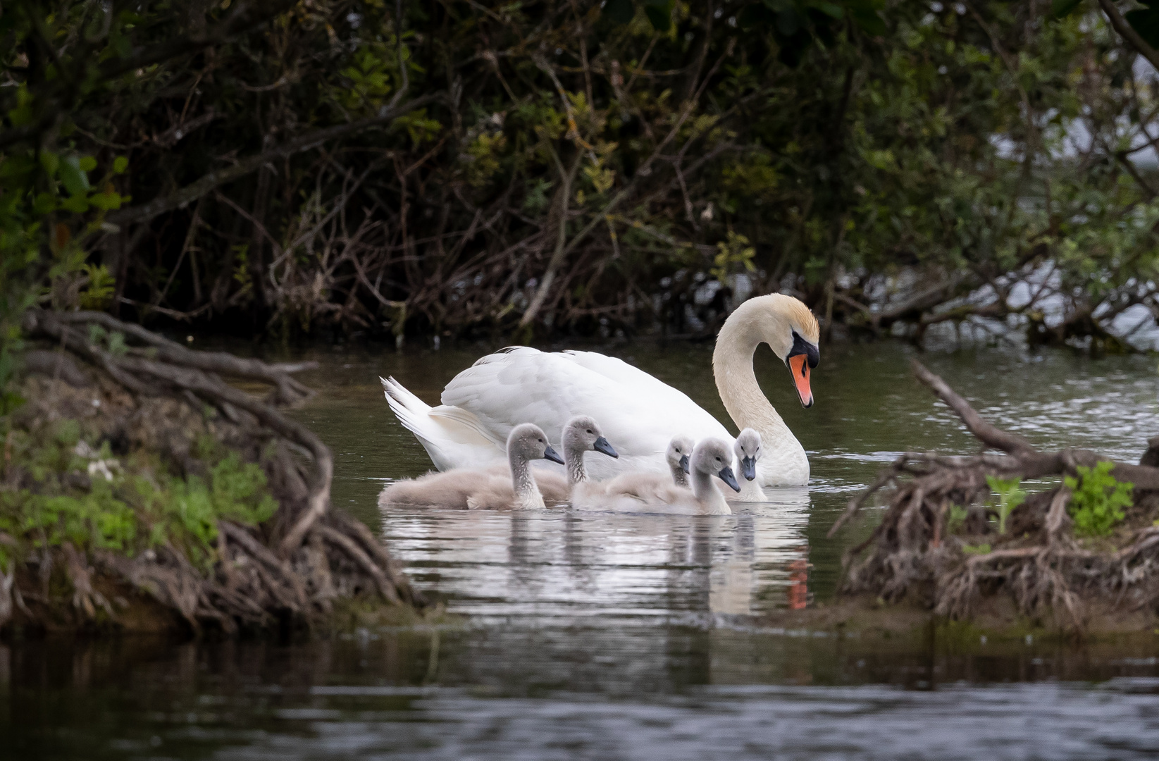 Familienausflug