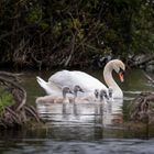 Familienausflug