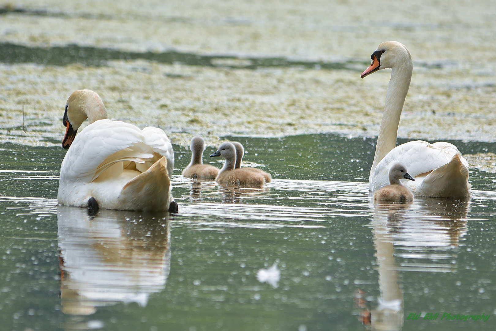 Familienausflug...