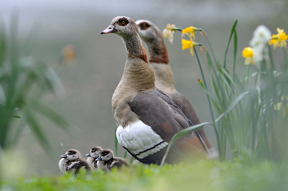 Familienausflug