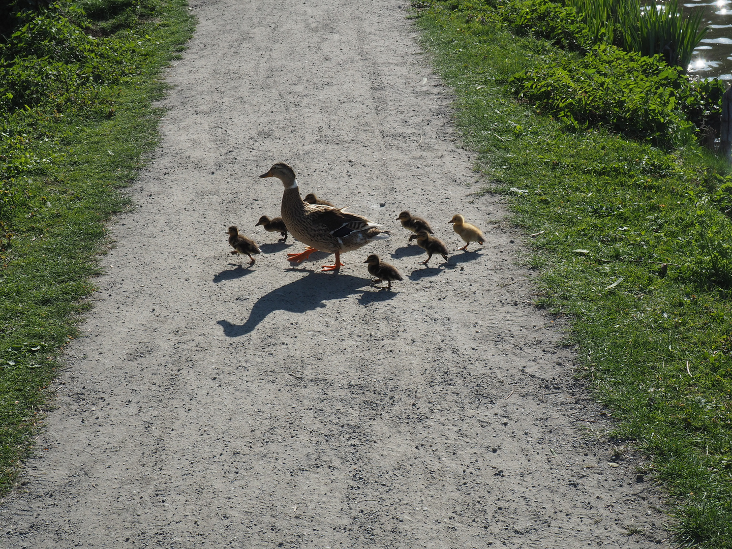 Familienausflug