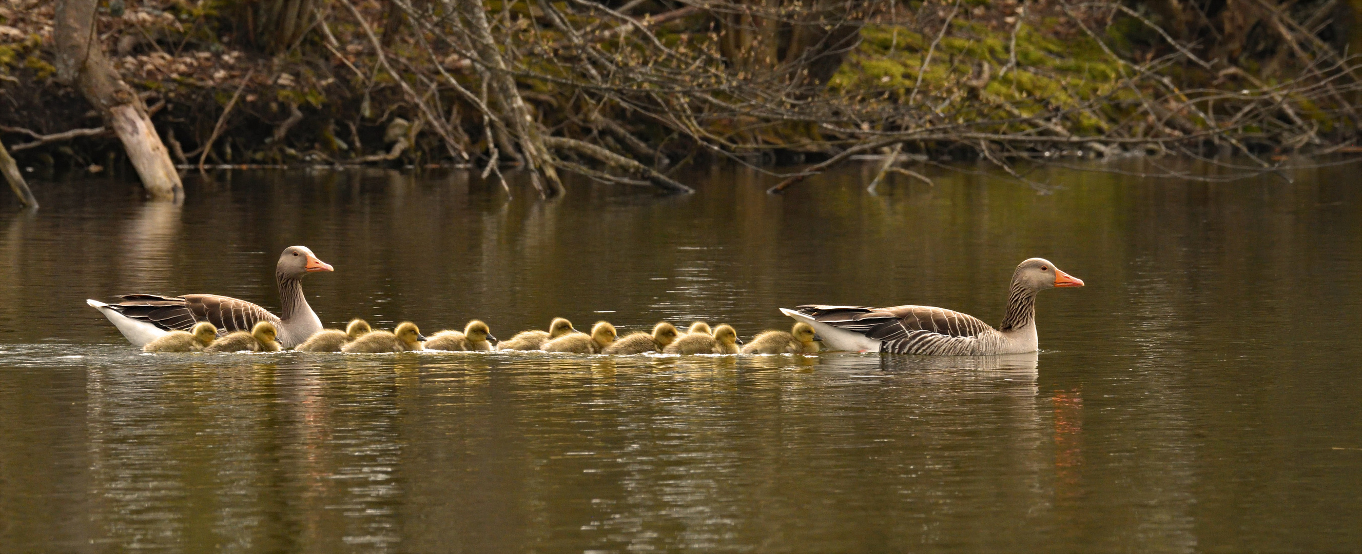 Familienausflug