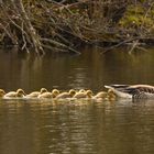 Familienausflug