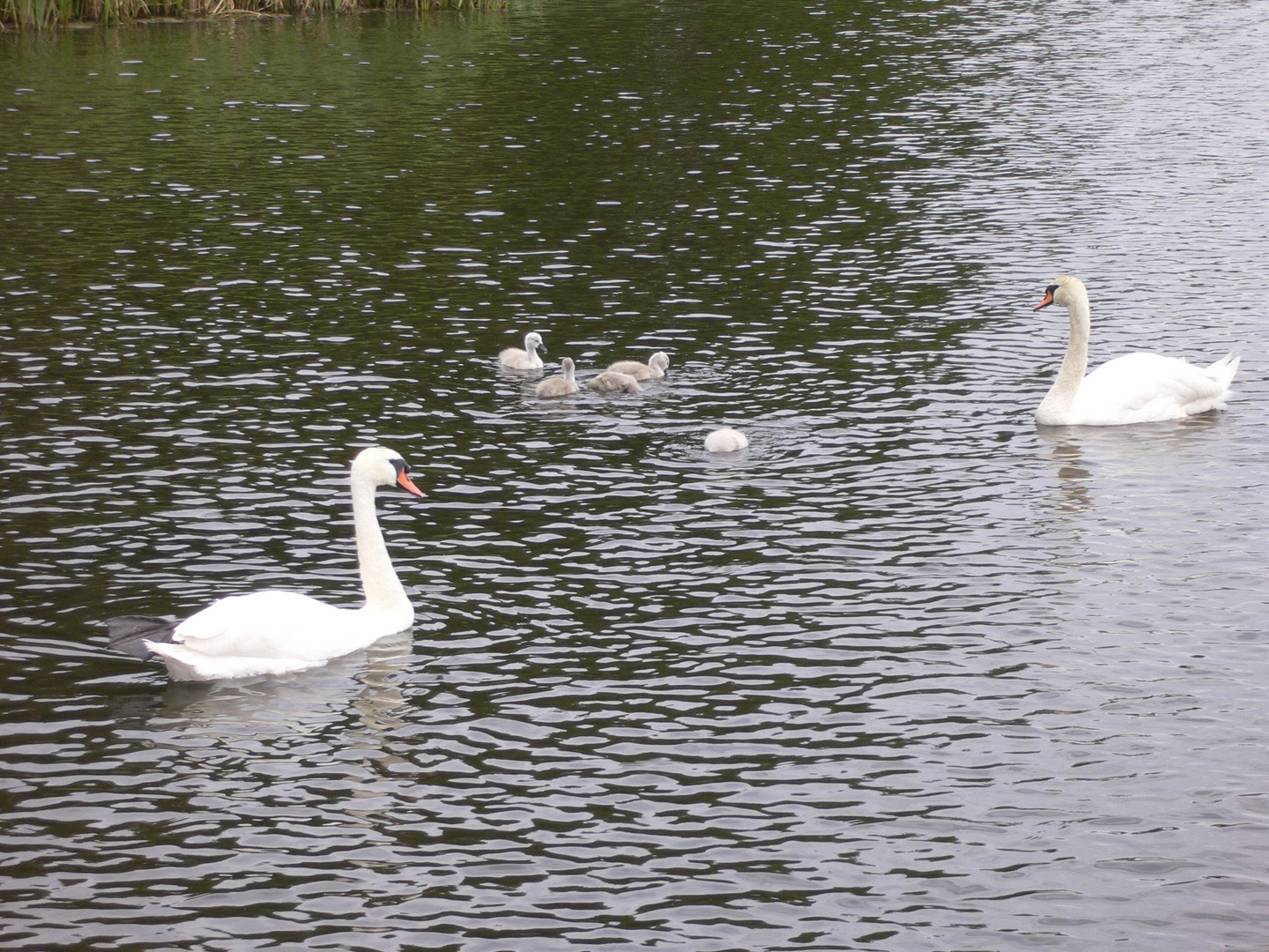 Familienausflug