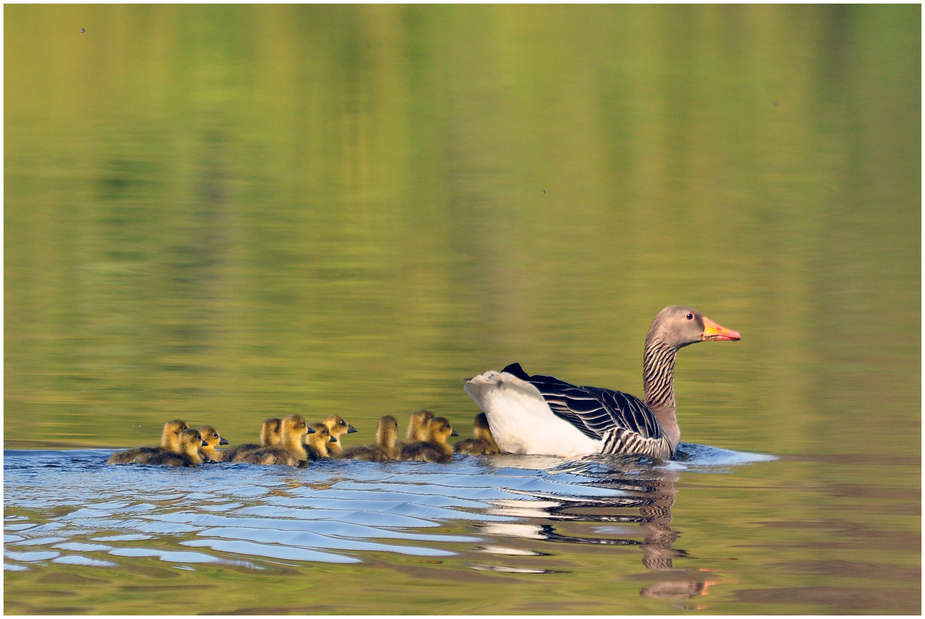 Familienausflug