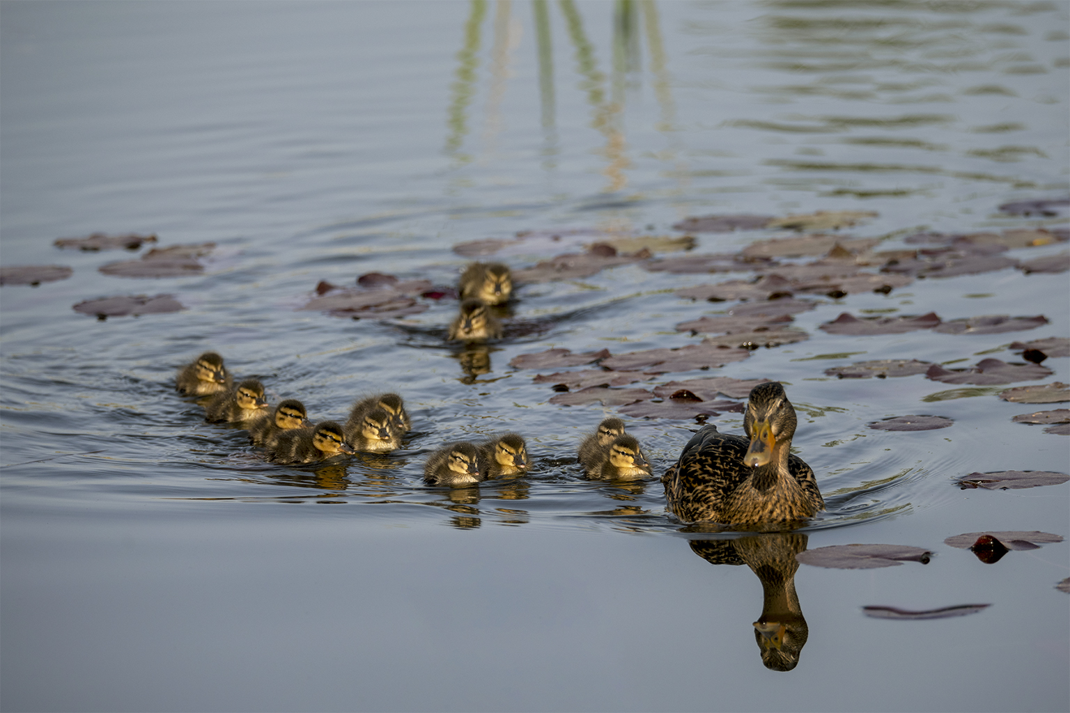 Familienausflug