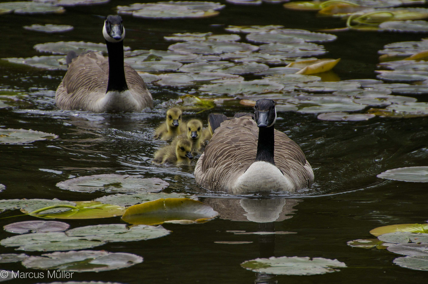 Familienausflug