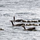 Familienausflug