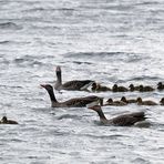 Familienausflug