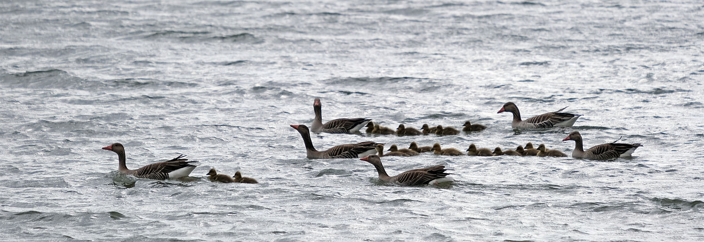 Familienausflug